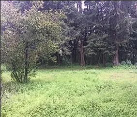 Terreno en Venta, Ahuacatitlan, Morelos.