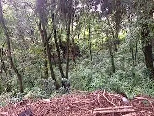 Terreno en Venta, Ahuacatitlan, Morelos.