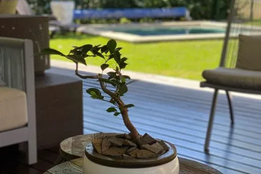 Casa en Venta en Cuernavaca Paraiso Country Club